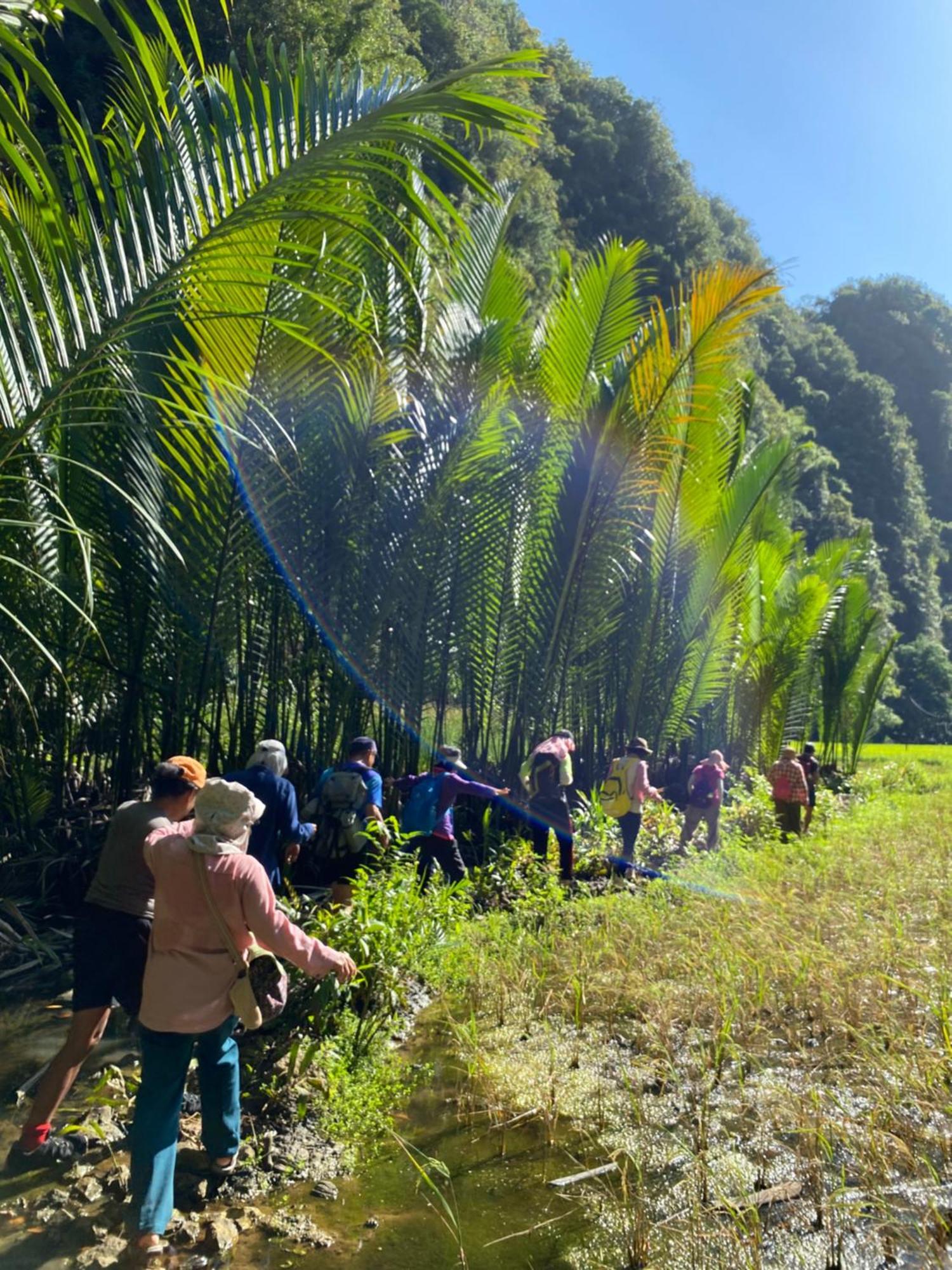 Rammang Rammang Ecolodge And Cafe Kasijala المظهر الخارجي الصورة